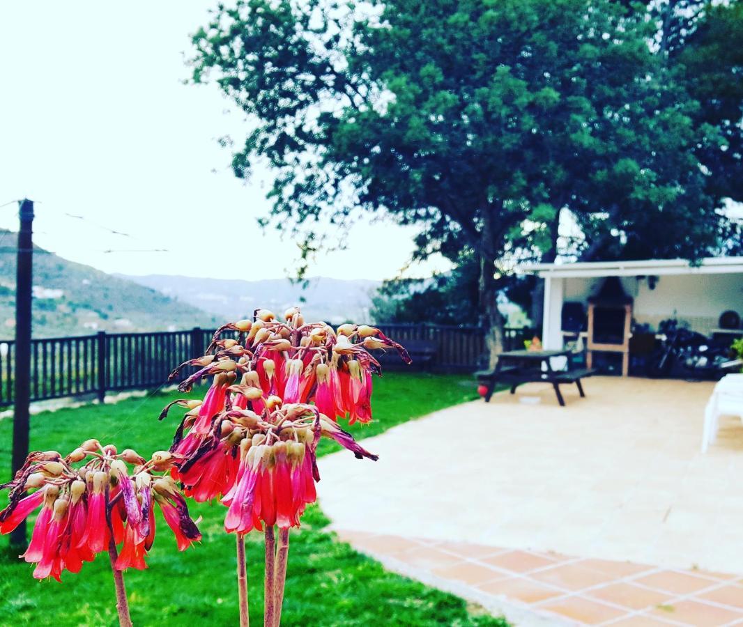 Casa Molina Villa Alcaucin Luaran gambar